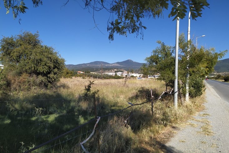 Realty photo 2