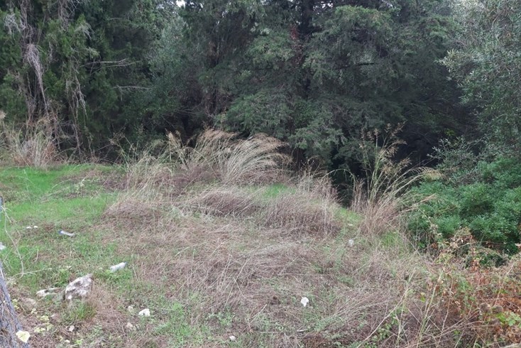 Realty photo 2
