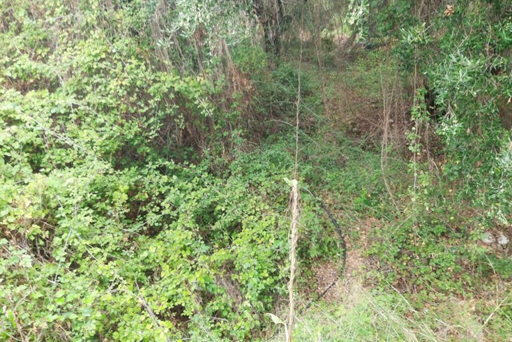 Realty photo 3