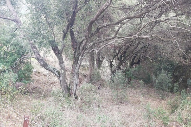 Realty photo 1