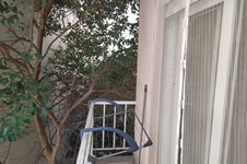 Property 51422 photo 15