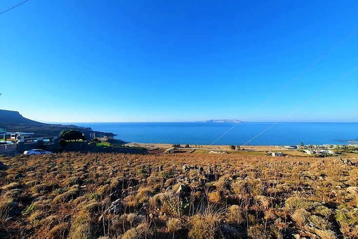 Realty photo 2