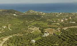 Парцел 4100 m² на Крит