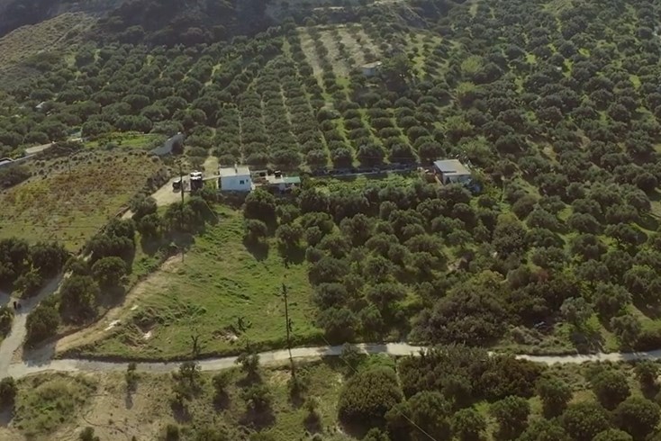 Realty photo 2