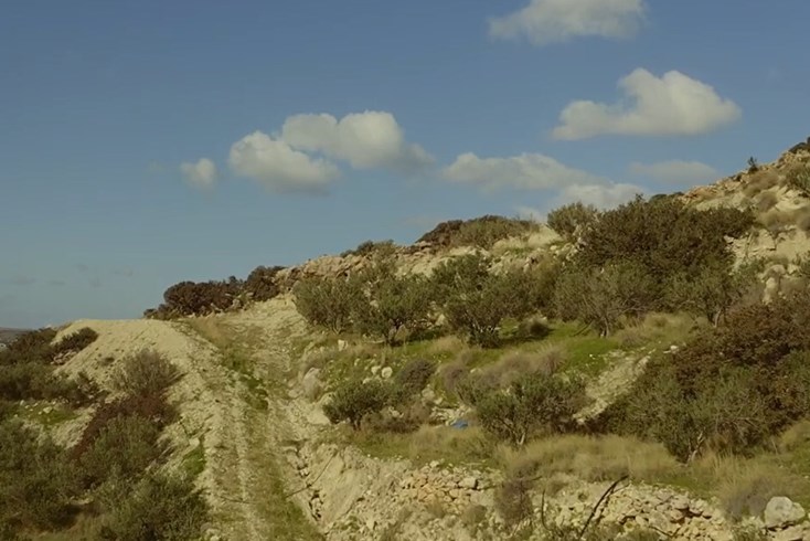 Realty photo 2
