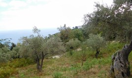 Land 4020 m² in Volos - Pilion