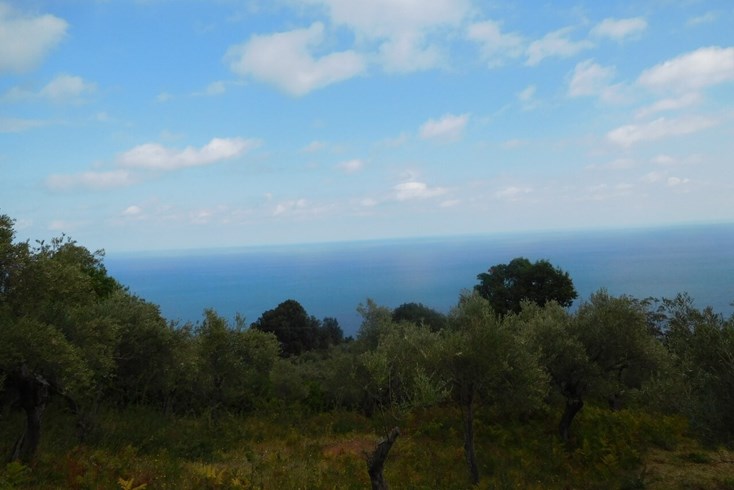 Realty photo 2