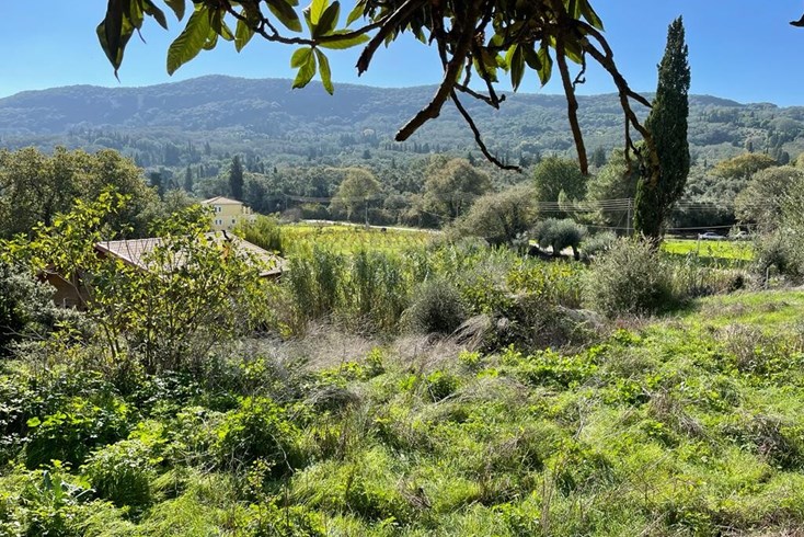 Realty photo 1