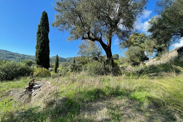 Realty photo 3