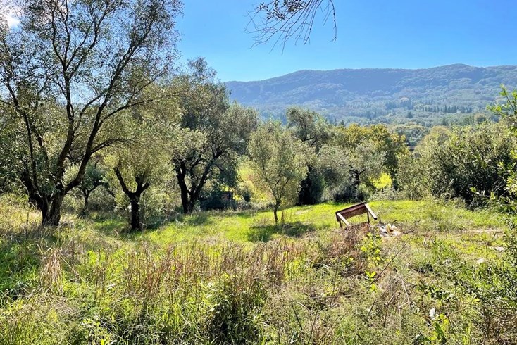 Realty photo 2