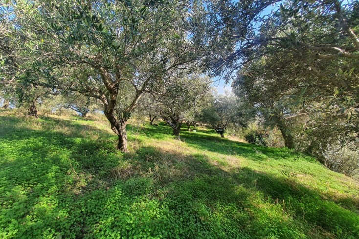 Realty photo 3