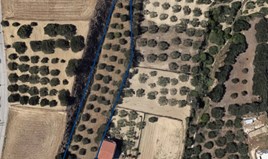 Land 2225 m² in Crete