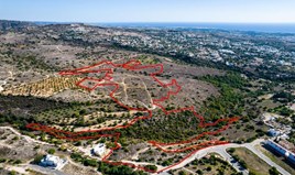 Land 100406 m² in Paphos