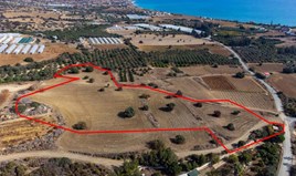 Land 16389 m² in Larnaka