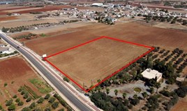 Land 8802 m² in Agia Napa