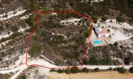 Terrain 3679 m² à Paphos