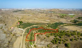 Земельный участок 10034 m² в Никосии