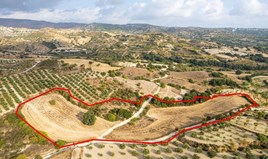Land 18395 m² in Paphos