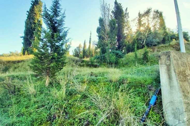 Realty photo 2