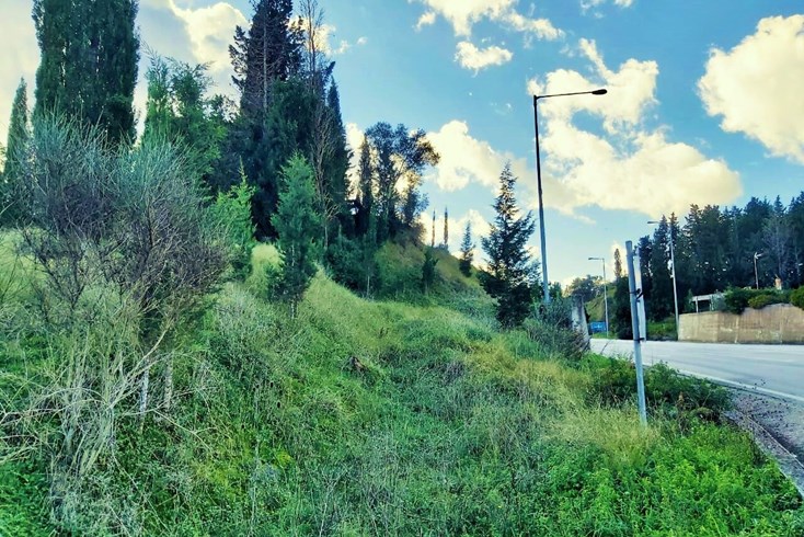 Realty photo 1