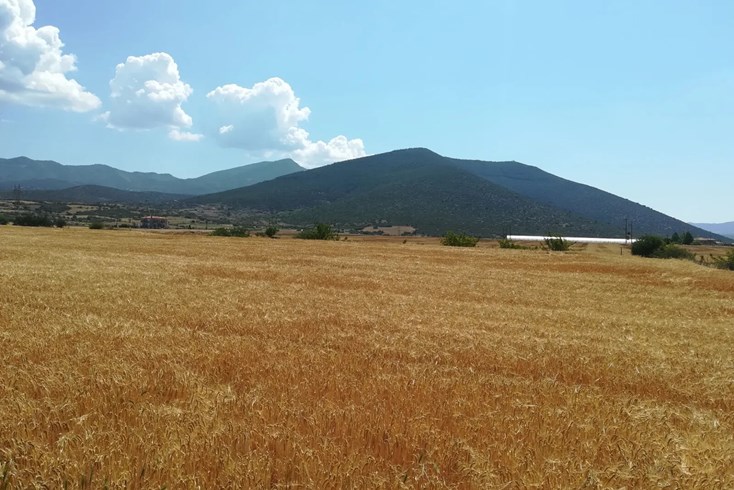 Realty photo 2