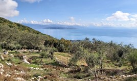 Land 9500 m² auf Korfu