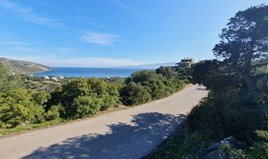 სასტუმრო 1346 m² კრეტაზე