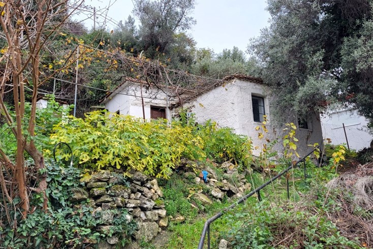 Realty photo 2