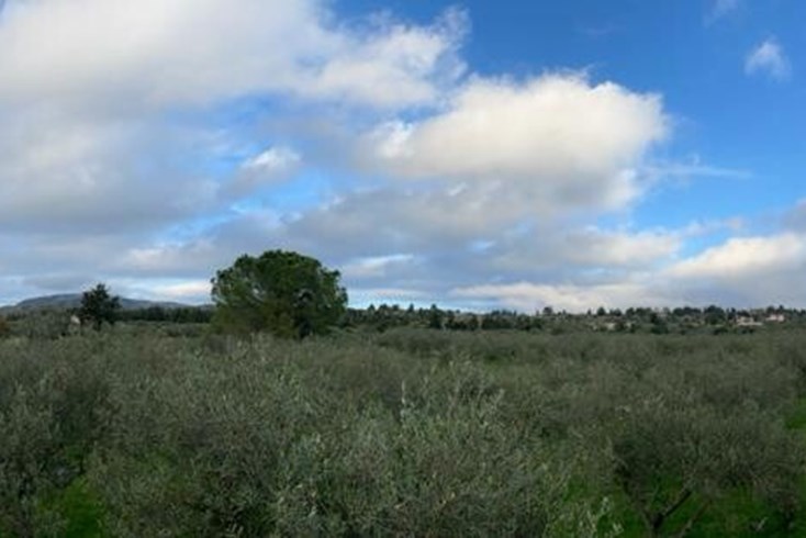 Realty photo 3