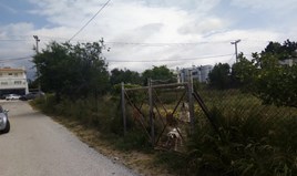Парцел 1000 m² в Атина