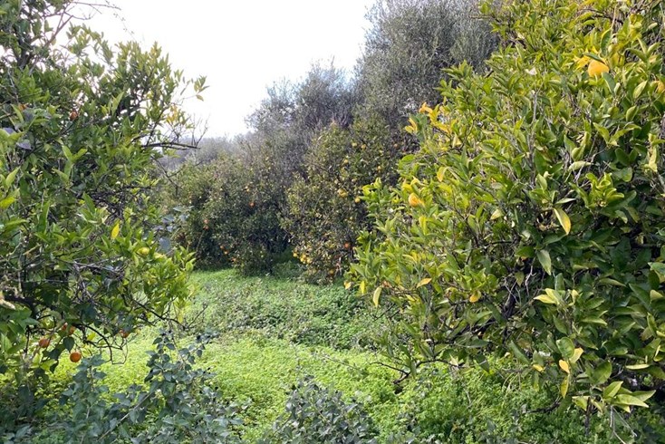 Realty photo 3