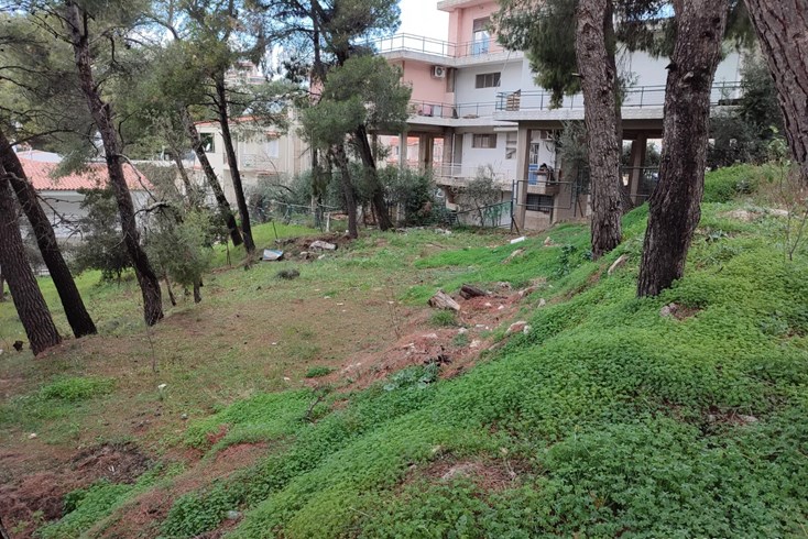 Realty photo 1