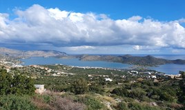 Land 6161 m² auf Kreta
