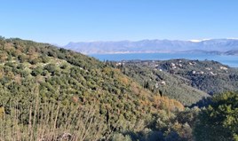 Land 10500 m² auf Korfu
