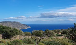 Land 4004 m² in Crete