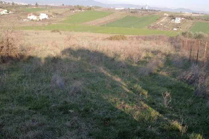 Realty photo 3