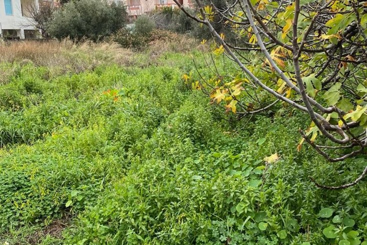 Realty photo 1