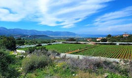 Zemljište 10000 m² na Kritu