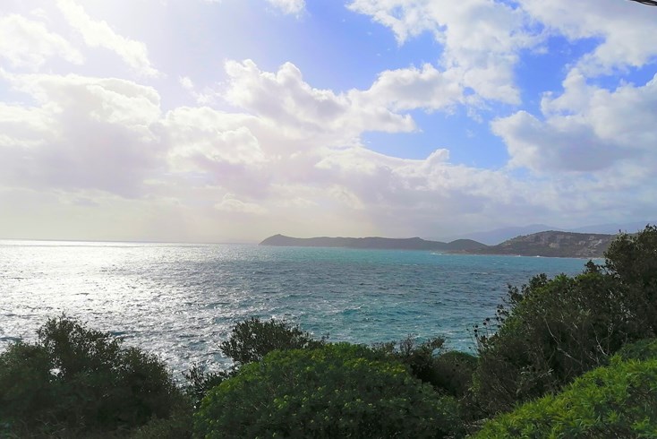 Realty photo 1