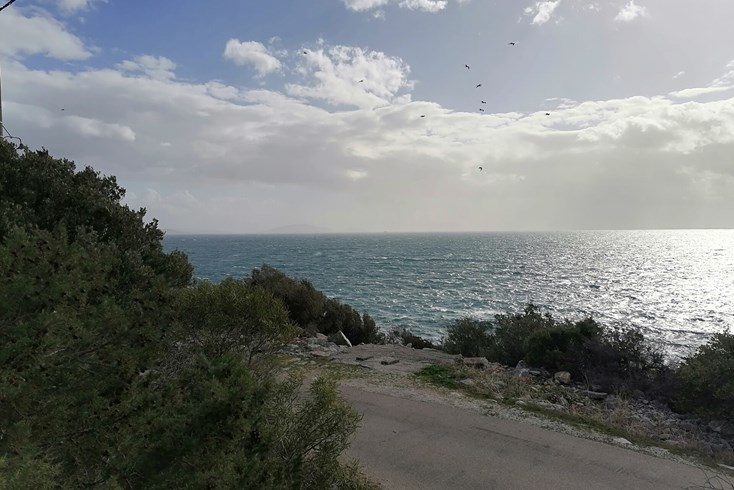 Realty photo 2