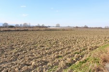 Property 52444 photo 19