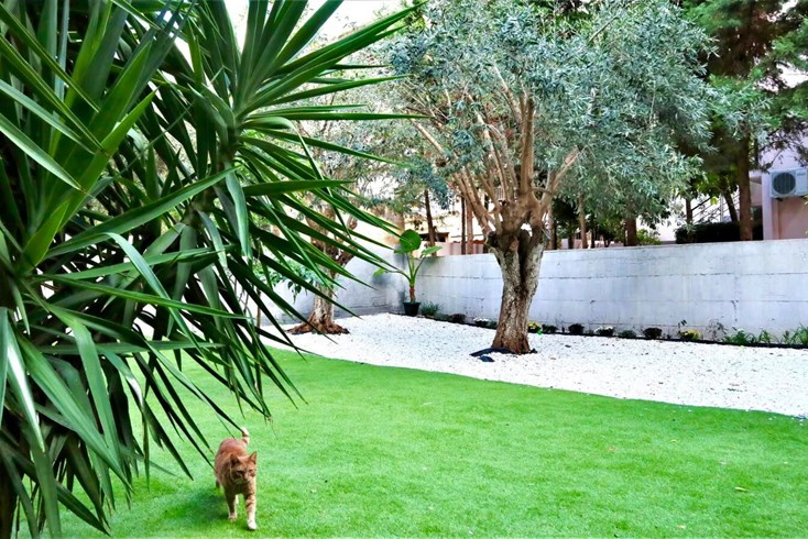 Realty photo 2