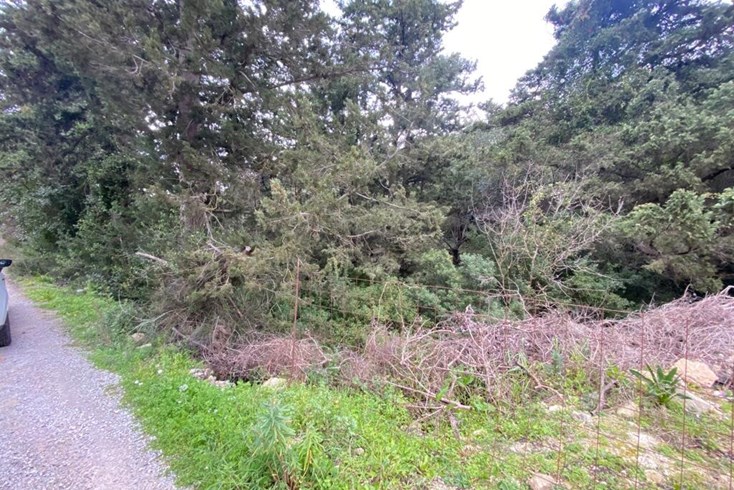 Realty photo 2