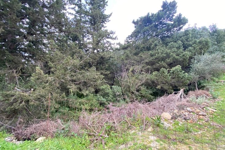 Realty photo 3