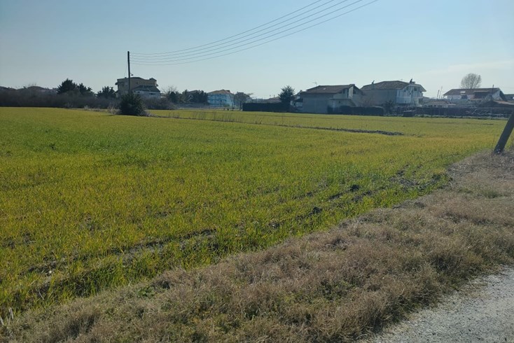 Realty photo 2