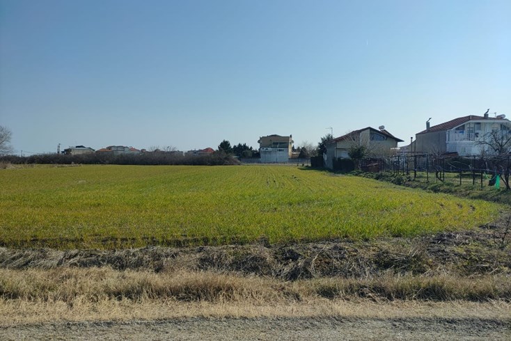 Realty photo 1