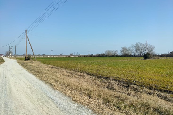Realty photo 3