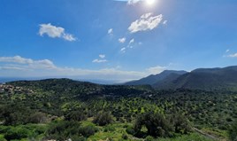 Land 2535 m² auf Kreta