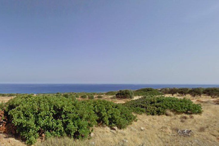 Realty photo 1