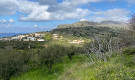 Terrain 2140 m² en Crète